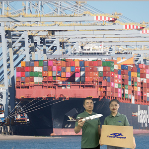 Sea Fright China Agente de envío Transporte marítimo profesional a EE. UU. Reino Unido Francia Alemania Italia Canadá Ddp - Product Image 1