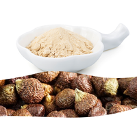 Échantillon Gratuit Naturel : Extrait de Grains Paradise (Aframomum Melegueta) en Poudre Qualité Alimentaire, Stock en Gros