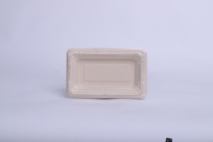 Boîte à sushi écologique en pulpe de bagasse 100 % recyclable, plateau alimentaire en pulpe recyclée non blanchie - Product Image 4