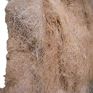 Fibre de noix de coco naturelle de haute qualité pour matelas brosses cordes tapis de culture paillis fibre de coco vente en gros de l'Inde - Product Image 1