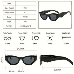 Gafas de Sol Cuadradas Pequeñas de Moda Vintage con Logotipo Personalizado al por Mayor, Gafas de Sol de Ojo de Gato Irregulares para Mujer - Product Image 5