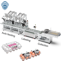 SKILT High-Speed Fruit Clamshell Top Surface Labeling Machine met meerdere invoerkanaalindelingen en automatische stapel- en verzamelapparaat