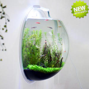 Creatief Acryl Aan De Muur Gemonteerde <span class=keywords><strong>Aquarium</strong></span> Mini Klein <span class=keywords><strong>Aquarium</strong></span> Voor Huisdecoratie - Product Image 5