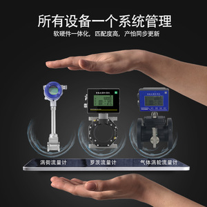 Sistema de Medición de Vapor con Medidor de Flujo Vortex y Conectividad IoT para la Gestión Inteligente de Redes de Calefacción - Product Image 2