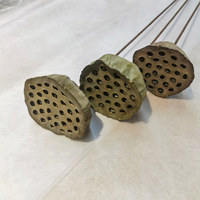Wadah Pod teratai Nelumbinis bunga kering dekorasi pernikahan rumah pedesaan dengan bahan plastik untuk Paskah dan Natal