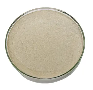 Polvo de sulfato de condroitina, número CAS: 9007-28-7, suministro de fábrica