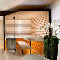 Sauna infrarouge à vapeur sèche en bois de style traditionnel avec panneau de commande informatique, design moderne pour intérieur
