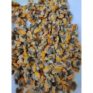 SANFENG SEAFOOD Carne de Almeja Congelada Fresca Sin Concha de China, <span class=keywords><strong>Precio</strong></span> al por Mayor - Product Image 3