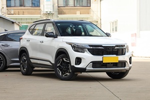 Offre Spéciale <span class=keywords><strong>Seltos</strong></span> <span class=keywords><strong>2023</strong></span> 1.5L CVT 115Hp L4 <span class=keywords><strong>Premium</strong></span> Edition 172 km/h Essence <span class=keywords><strong>Seltos</strong></span> Suv Voitures d'occasion - Product Image 2