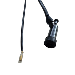 أم محرك عالي الجودة قطع غيار مضخة مياه 168F 170F ملف إشعال لمحرك البنزين - Product Image 5