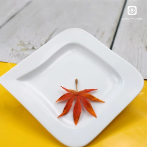 Thanh Le 20cm Assiette en céramique carrée artisanale-Vaisselle vietnamienne authentique pour salle à manger et décoration | Options en gros disponibles - Product Image 2