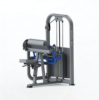 Nouvelle conception d'équipement de fitness, machine à musculation à poids libre, entraîneur de bras, machine multi-biceps, curl des biceps