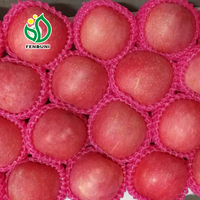 2024 pommes fraîches manzana fresca pomme fruit frais chinois Fuji pomme