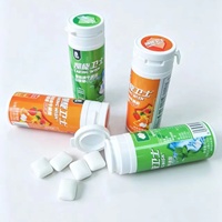 Natuurlijke smaak Xylitol Suiker-vrije Kauwgom Cafeïne L-Theanine B-Vitamines Nootropisch Zakje OEM Merk Fabrieksdirect