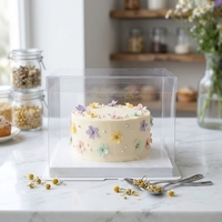 Boîtes à gâteaux carrées en plastique PET transparent, personnalisées en gros, minimalistes et écologiques