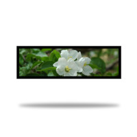 Composant pc android avec panneau numérique, norme iptz, 43 pouces, barre givrée, écran lcd, publicité, prix bas