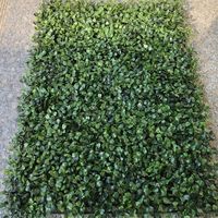 Panel Latar Belakang Rumput Boxwood Buatan 40*60cm Terlaris, Dinding Rumput Boxwood Artifisial untuk Taman Dalam & Luar Ruangan, Halaman Belakang
