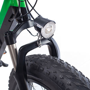 Vente en gros d'usine Vélo électrique 250w 48V Moteur à <span class=keywords><strong>cassette</strong></span> arrière Bafang 7 vitesses Vélo électrique pour adultes - Product Image 3