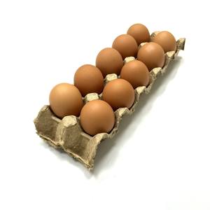 Emballage en papier pour œufs de haute qualité, écologique, vente en gros, ne se casse pas facilement, plateau à œufs en papier pour 10 œufs - Product Image 1