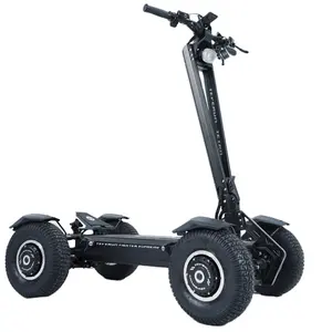 Skuter listrik empat roda 3000W 6000W dengan Motor ganda 4 Motor 200km skuter jarak jauh 55km/jam teeverun Te Tra skuter