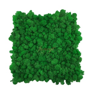 50x 50 cmトナカイモスパネルタイル環境保存プラスチックフェイクボックスウッド草屋内壁用オフィスウェディング - Product Image 4