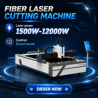 Machine de découpe laser à fibre sur plateforme 3015 3000W/6000W CNC Cypcut 3 axes haute productivité pour métaux (aluminium, PLT/AI)