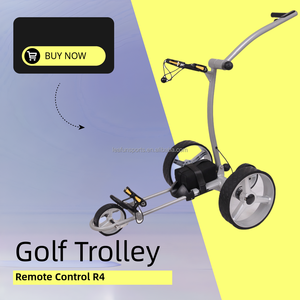 Voiture de <span class=keywords><strong>golf</strong></span> télécommandée à batterie au lithium avec cadre de conception allemande, revêtement en cuir de luxe, poignée en T avec roue anti-basculement - Product Image 1