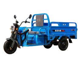 รถ<span class=keywords><strong>สามล้อ</strong></span><span class=keywords><strong>ไฟฟ้า</strong></span>ขนาดใหญ่พร้อมตัวถังเปิด<span class=keywords><strong>60V</strong></span> <span class=keywords><strong>1</strong></span>ผู้โดยสาร400กก. - Product Image 6