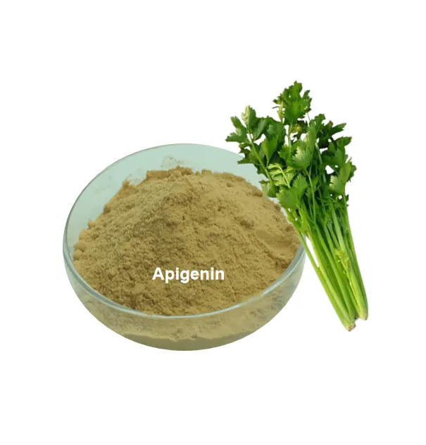 Pure Apigenin 98% Powder Celery Seed Extract chamomile extract
