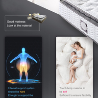 Expédition rapide, fourniture directe d'usine, matelas en mousse Lit Matelas taille Queen pour soulager les maux de dos, prix de gros direct d'usine OEM