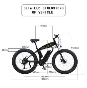 Bicicleta Eléctrica de Montaña Híbrida DLSshark de 750W con Neumáticos Gruesos 26*4.0 48V, Ideal para Nieve - Product Image 2