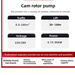 Bomba de rotor de leva de acero inoxidable de alta viscosidad con caudal de 100 L/H para transferencia de salsa, leche en polvo, productos químicos, miel y jarabe - Product Image 5