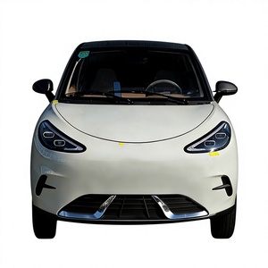 Auto Elettrica ZheXing Avanzata Best Seller con Batteria da <span class=keywords><strong>50</strong></span>-70kWh e Motore da 50kW - Product Image 6