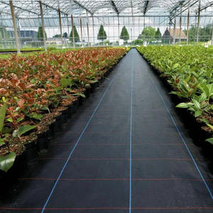 Fabrik preis PP Mulch Film Unkraut matte Landschaft Stoff Unkraut Barriere für Farm Orchard - Product Image 4