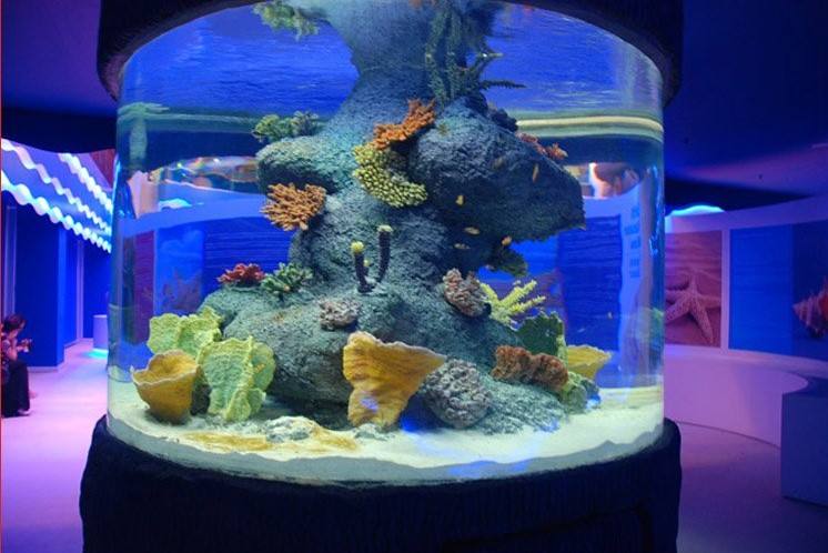 LTWHOME Echte Koralle Aquarium Dekoration - 20cm Naturkoralle Für Fischbecken