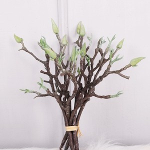 Rama de Magnolia Artificial de Alambre Plástico, Alta Simulación, Adorno para Interiores, Decoración del Hogar, Accesorio de Fotografía - Product Image 1