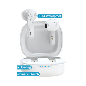 Meilleur appareil auditif portable rechargeable pour les personnes âgées, déficience auditive légère/moyenne, 16 canaux, réduction du bruit - Product Image 1