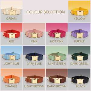 PU Leather Dog Collar & <b>Leash</b> Set Collar/<b>Harness</b>/Lead/Poop Bag Light Blue Engraved Metal Buckle Wedding Puppy Gift - Product Image 4