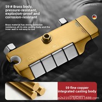 Nouveauté Ensemble de Douche Monocommande Touches de Piano, Valve Céramique à Pression Optimisée, Finition Polie, Jet de Massage Complet pour Hôtels