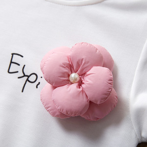 Vêtements pour enfants à manches longues personnalisés, t-shirts et robes pour filles, fabrication chinoise, vente en gros - Product Image 3