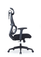 Chaise de bureau moderne en maille, design ergonomique avec soutien dorsal respirant, hauteur réglable, confortable pour une longue séance assise