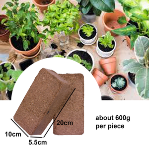 Briques <span class=keywords><strong>de</strong></span> tourbe <span class=keywords><strong>de</strong></span> <span class=keywords><strong>coco</strong></span> compressées en fibres <span class=keywords><strong>de</strong></span> <span class=keywords><strong>coco</strong></span> pures, bloc <span class=keywords><strong>de</strong></span> 5 kg, pour bibliothèque <span class=keywords><strong>de</strong></span> semences et conservation des semences, substrat <span class=keywords><strong>de</strong></span> <span class=keywords><strong>coco</strong></span> - Product Image 3