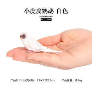 थोक ठोस pvc सिमुलेशन मूर्ति छोटे बुगेरिगर तोते पक्षी मॉडल पशु खिलौने पशु मूर्तियों के खिलौने - Product Image 4