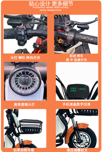 Tricycle électrique 3 roues <span class=keywords><strong>pour</strong></span> adultes, scooter électrique <span class=keywords><strong>pour</strong></span> handicapés et personnes âgées - Product Image 5