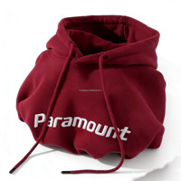 Sudadera con Capucha de Invierno de Alta Calidad, Personalizada con Logotipo en 3D, 300GSM, Algodón, Unisex, Talla Grande, Sudadera con Capucha de Anime OEM para Hombre