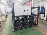 Unit Kompresor Pendingin Industri Supercharger Listrik 5HP