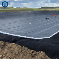 Feuille de géomembrane sans substances nocives, revêtement en PVC pour réservoir