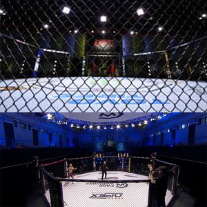 AIDONG <span class=keywords><strong>Cage</strong></span> <span class=keywords><strong>mma</strong></span> professionnelle plancher octogone <span class=keywords><strong>Cage</strong></span> octogonale <span class=keywords><strong>MMA</strong></span> <span class=keywords><strong>panneau</strong></span> mural - Product Image 4