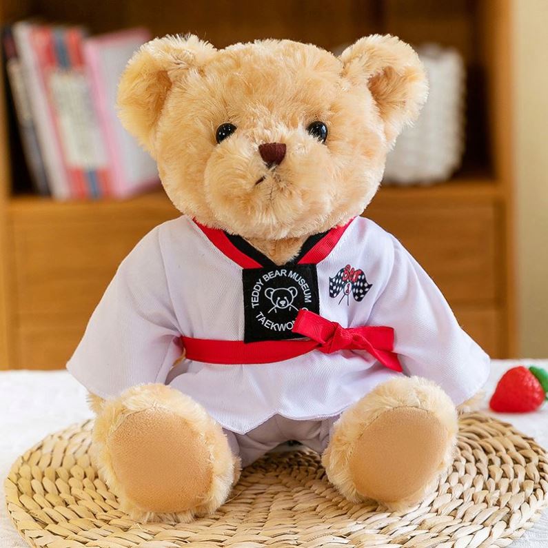 Taekwondo Teddy Bear Stuffed Animals Wholesale Custom School Souvenir Corporate Mascot Unisex Gifts Soft Toys Plush Teddy Bear