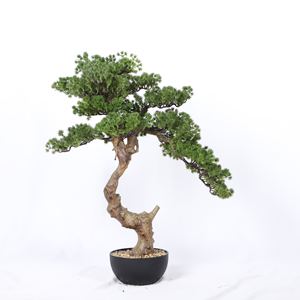 شجرة بونساي صنوبر خضراء صناعية صغيرة للبيع بالجملة، بطول 60 سم وعالية الجودة، مناسبة للديكور الداخلي - Product Image 3